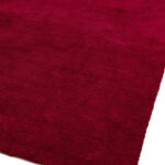 Asiatic Milo berry 01