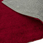 Asiatic Milo berry 03