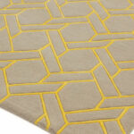 Asiatic Nexus fine lines silver yellow 2