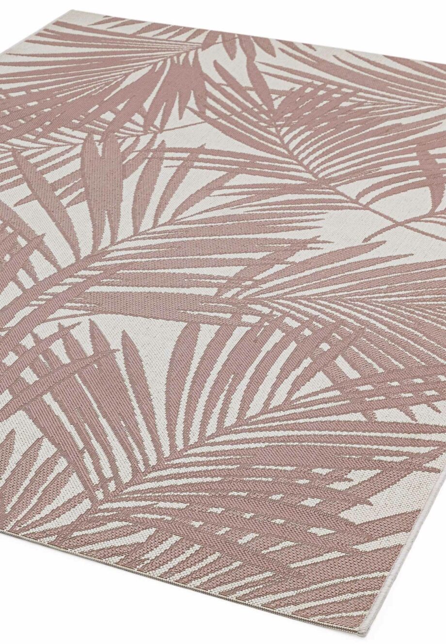 Asiatic Patio PAT 21pinkpalm 1