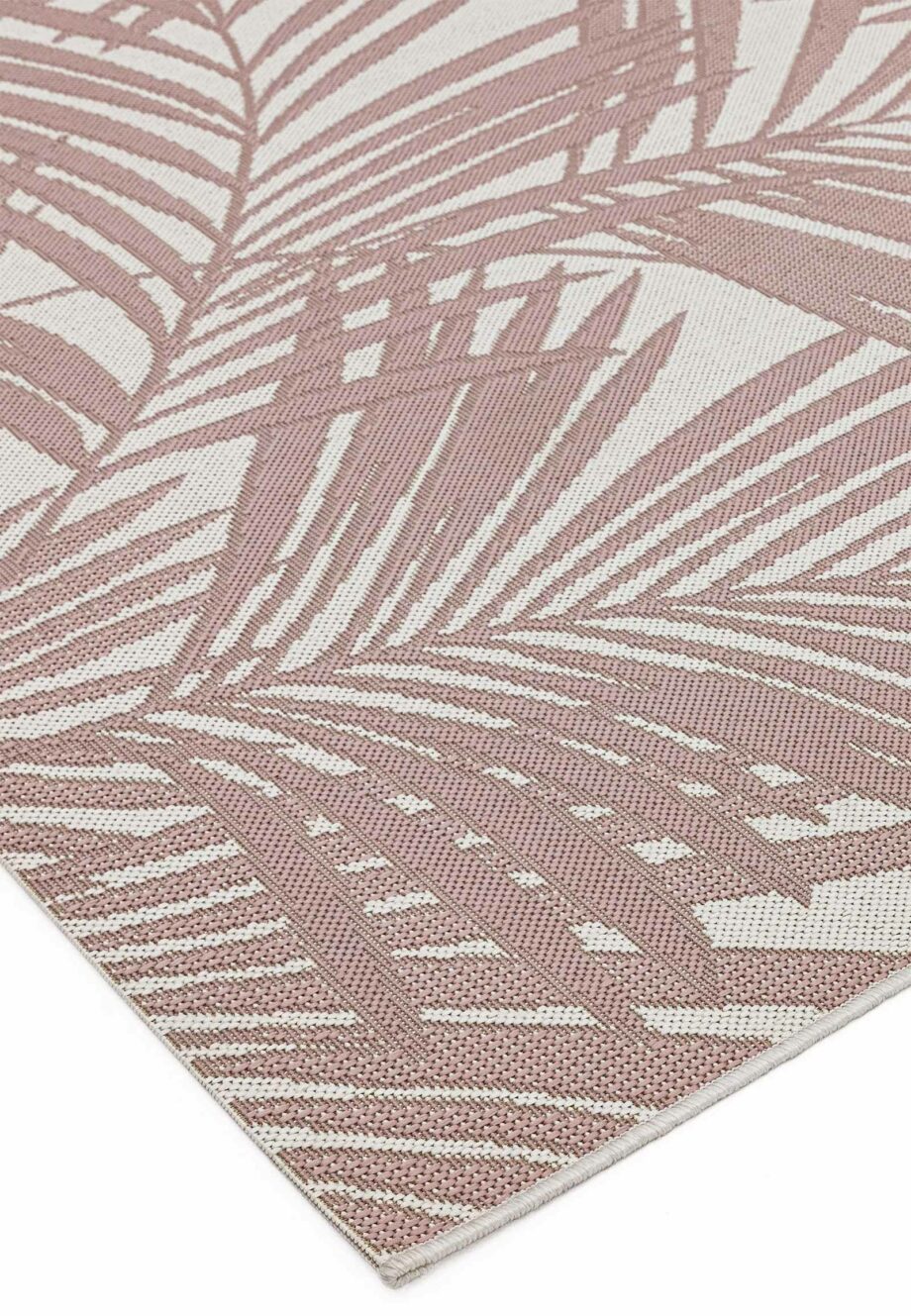 Asiatic Patio PAT 21pinkpalm 2