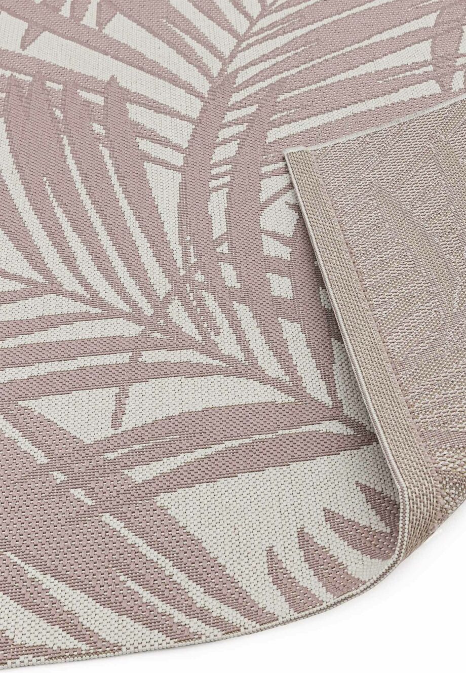 Asiatic Patio PAT 21pinkpalm 3