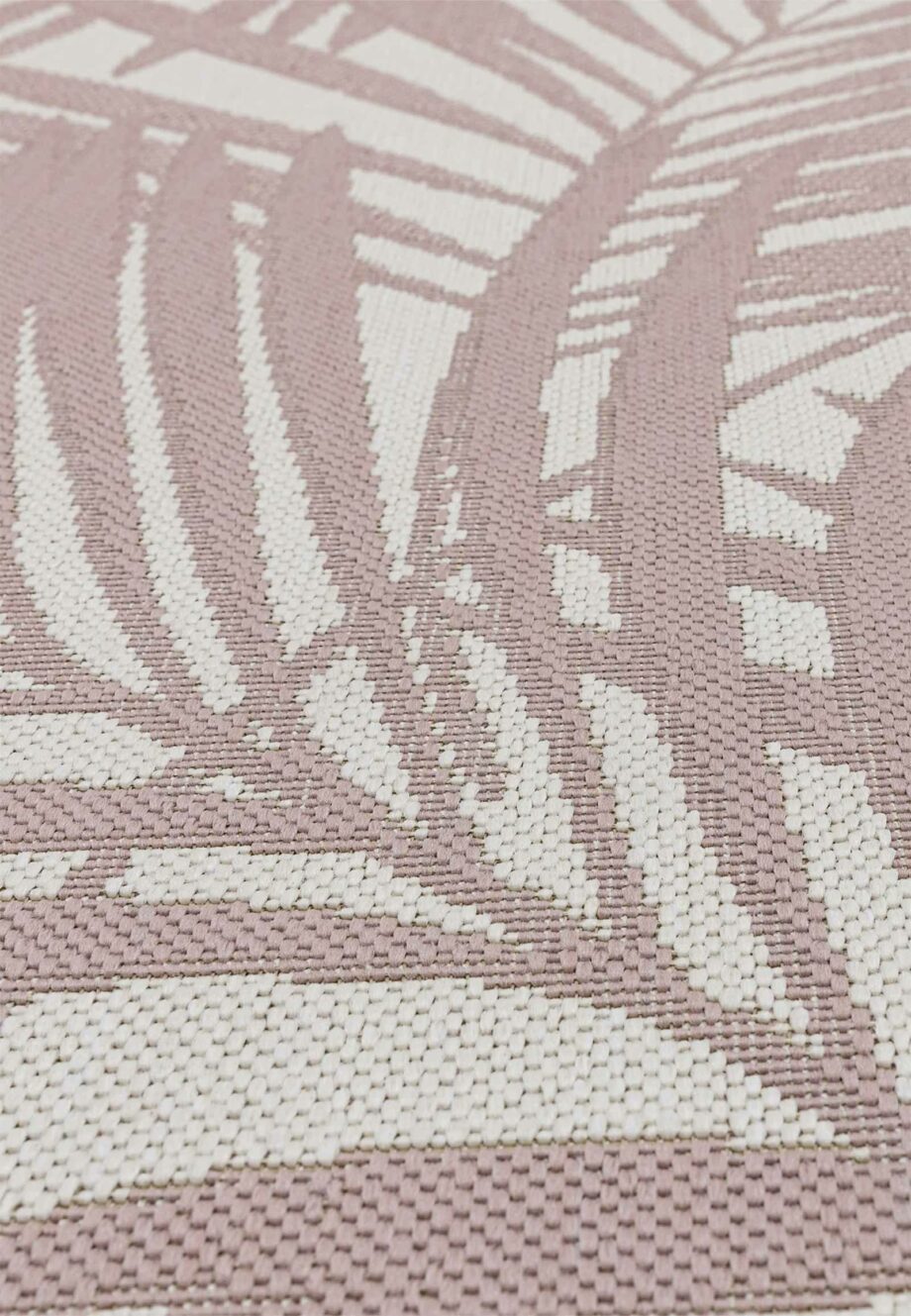 Asiatic Patio pat21 pink palm 4