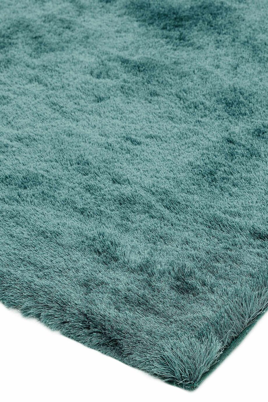 Asiatic Whisper aqua 2