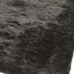 Asiatic Whisper graphite 1