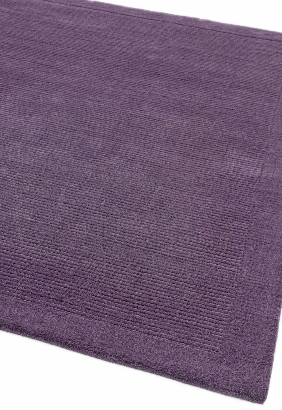 Asiatic York purple 1