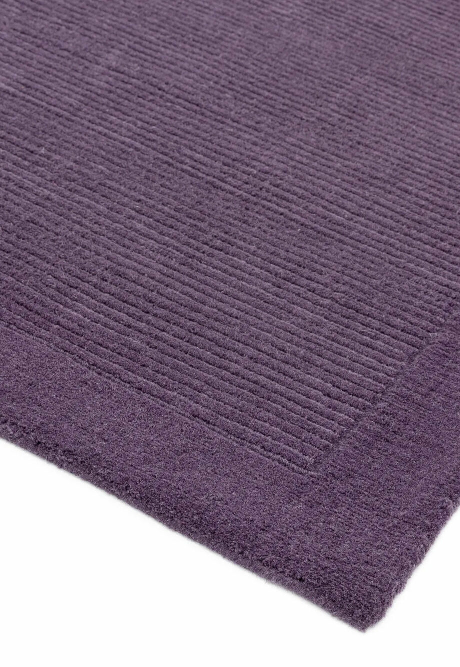 Asiatic York purple 2