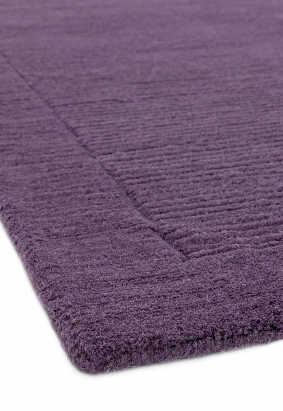 Asiatic York purple 4
