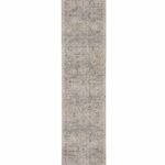 Nourison rug Lynx LNX02 IVTAU IVORY TAUPE 2x8 099446081773