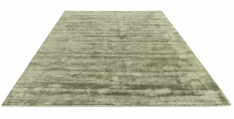 Asiatic rug Blade Sage 3D